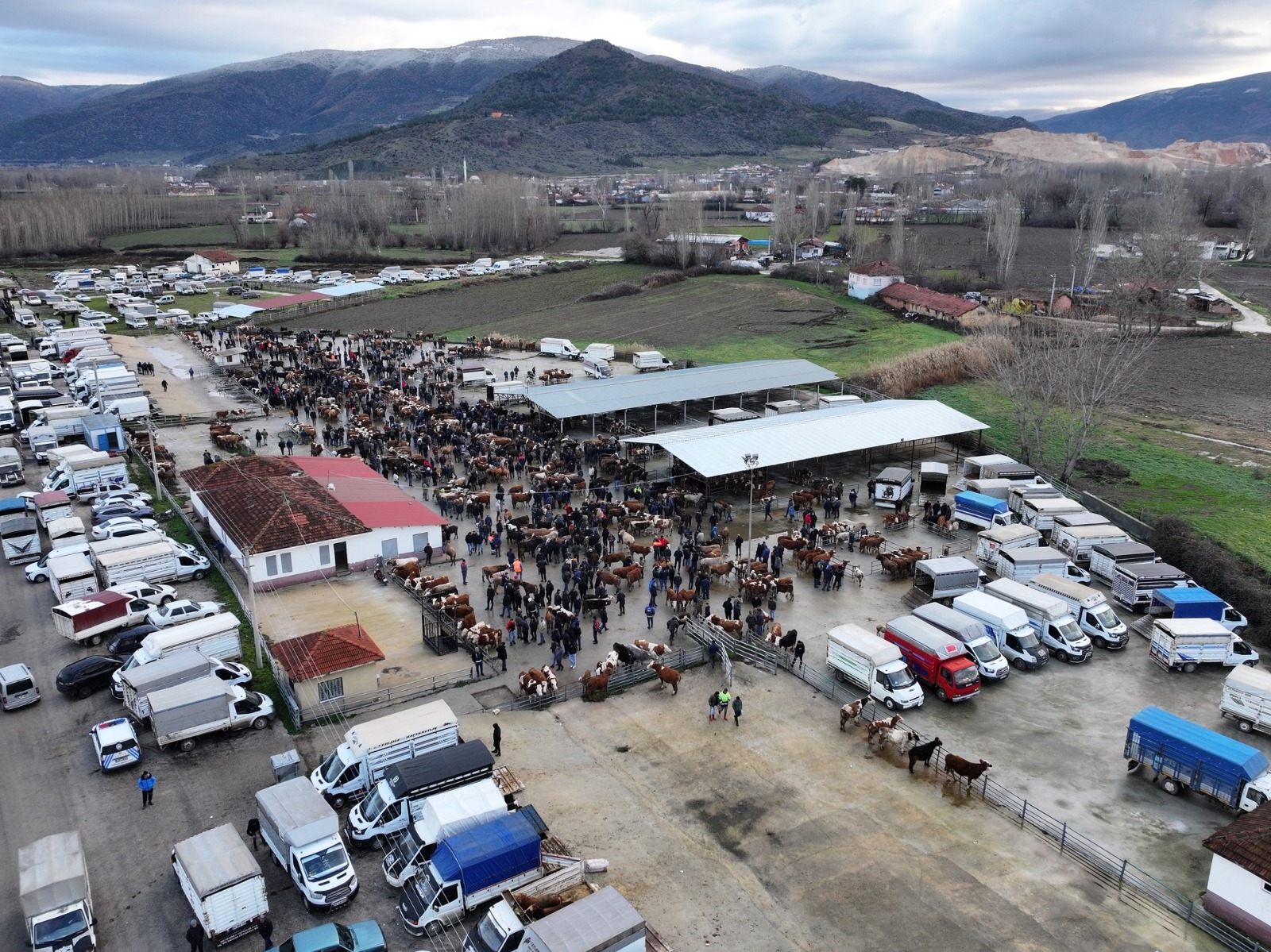 Whatsapp Image 2026 02 05 At 11.03.37