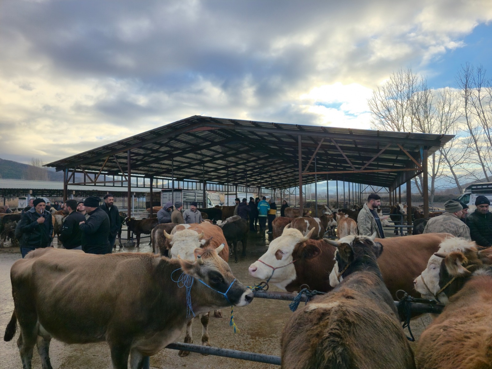 Whatsapp Image 2026 02 05 At 11.03.38 (1)