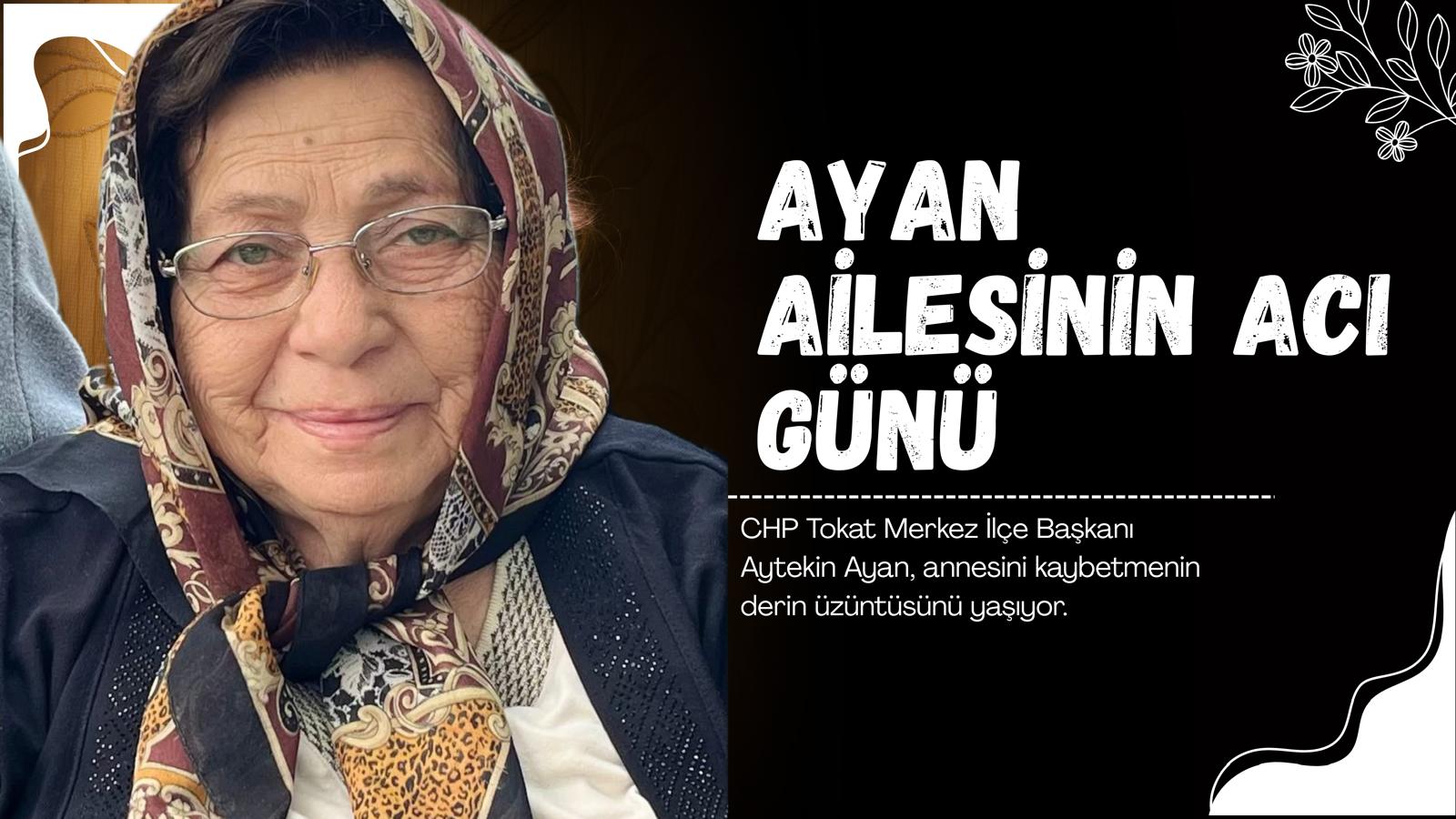 Whatsapp Image 2026 02 08 At 17.49.15