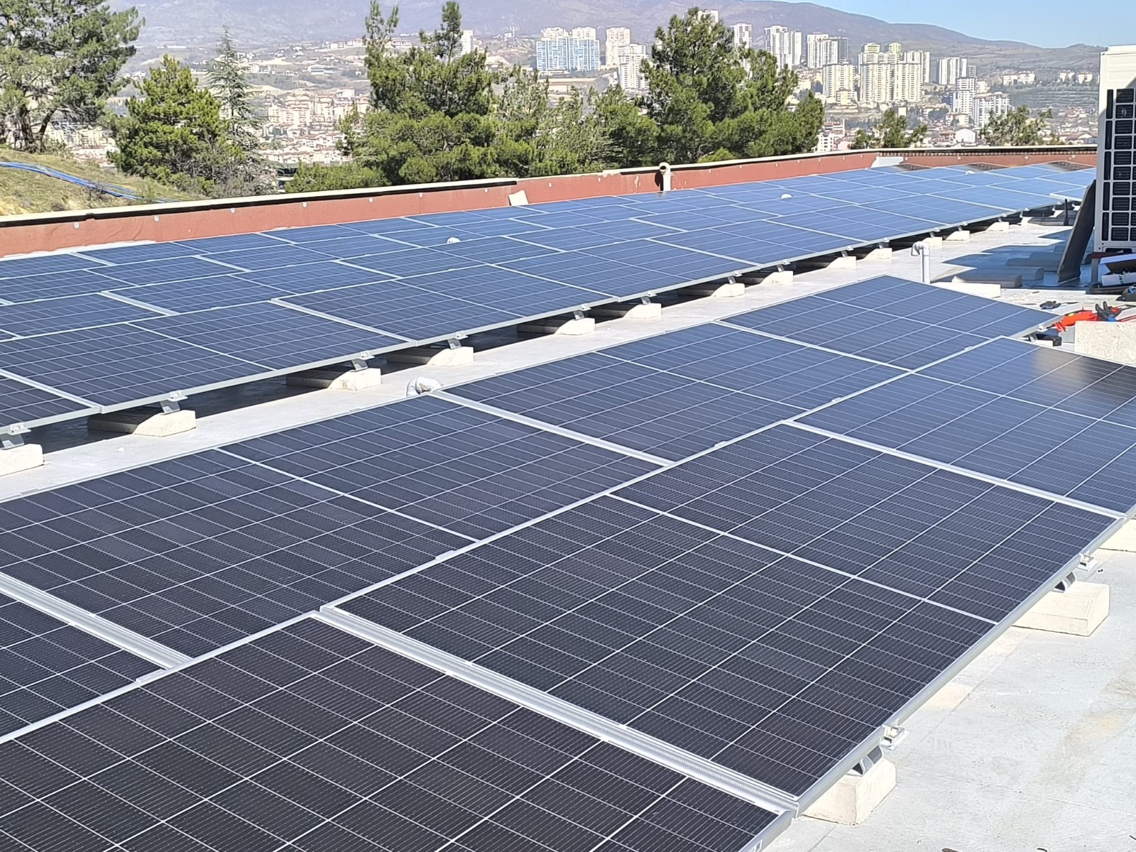 Whatsapp Image 2026 02 21 At 15.31.36 (1)