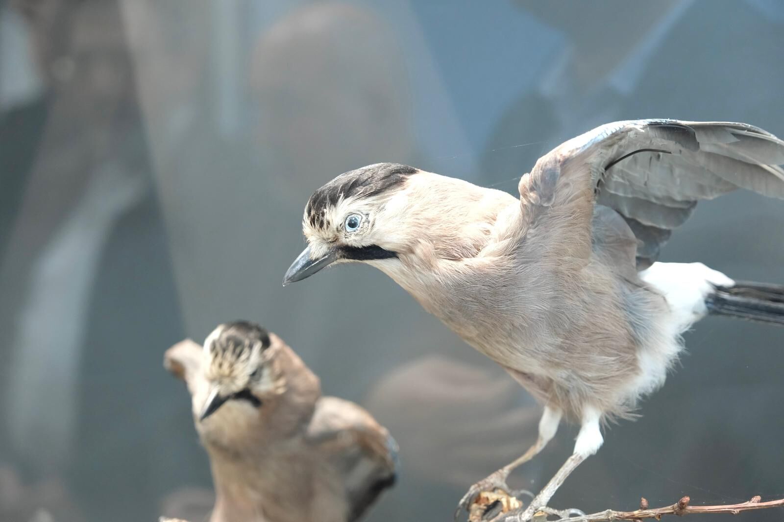 Whatsapp Image 2026 03 26 At 14.14.45 (1)