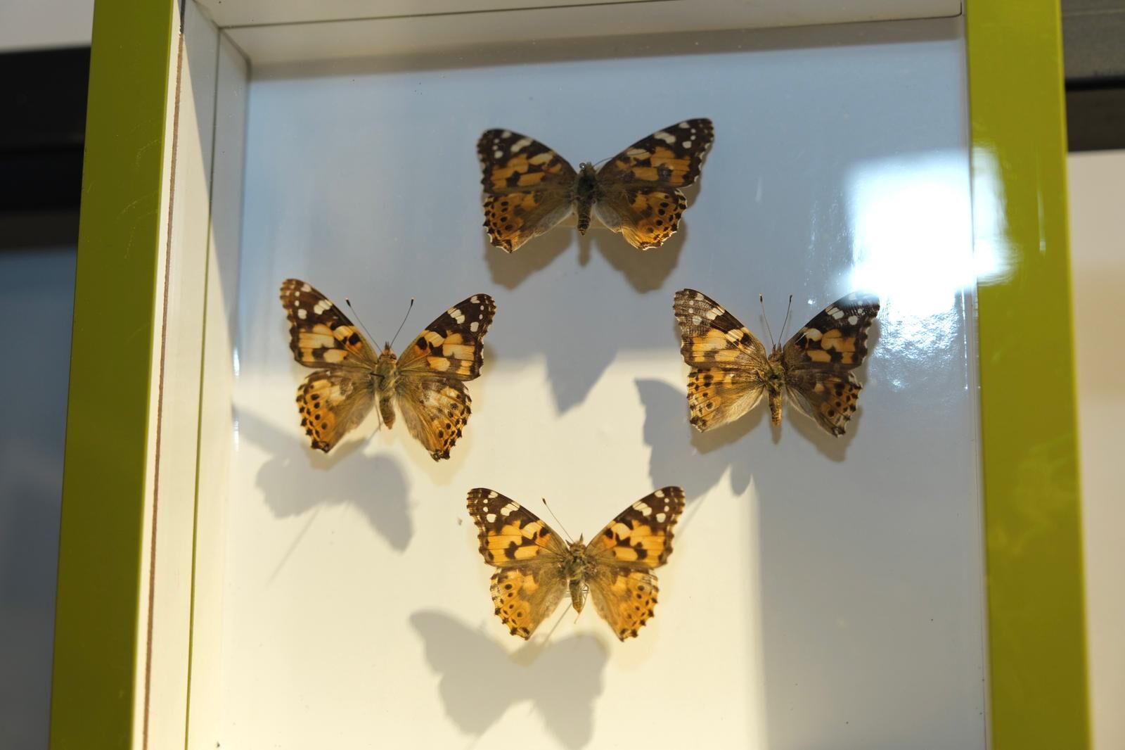 Whatsapp Image 2026 03 26 At 14.14.45 (2)