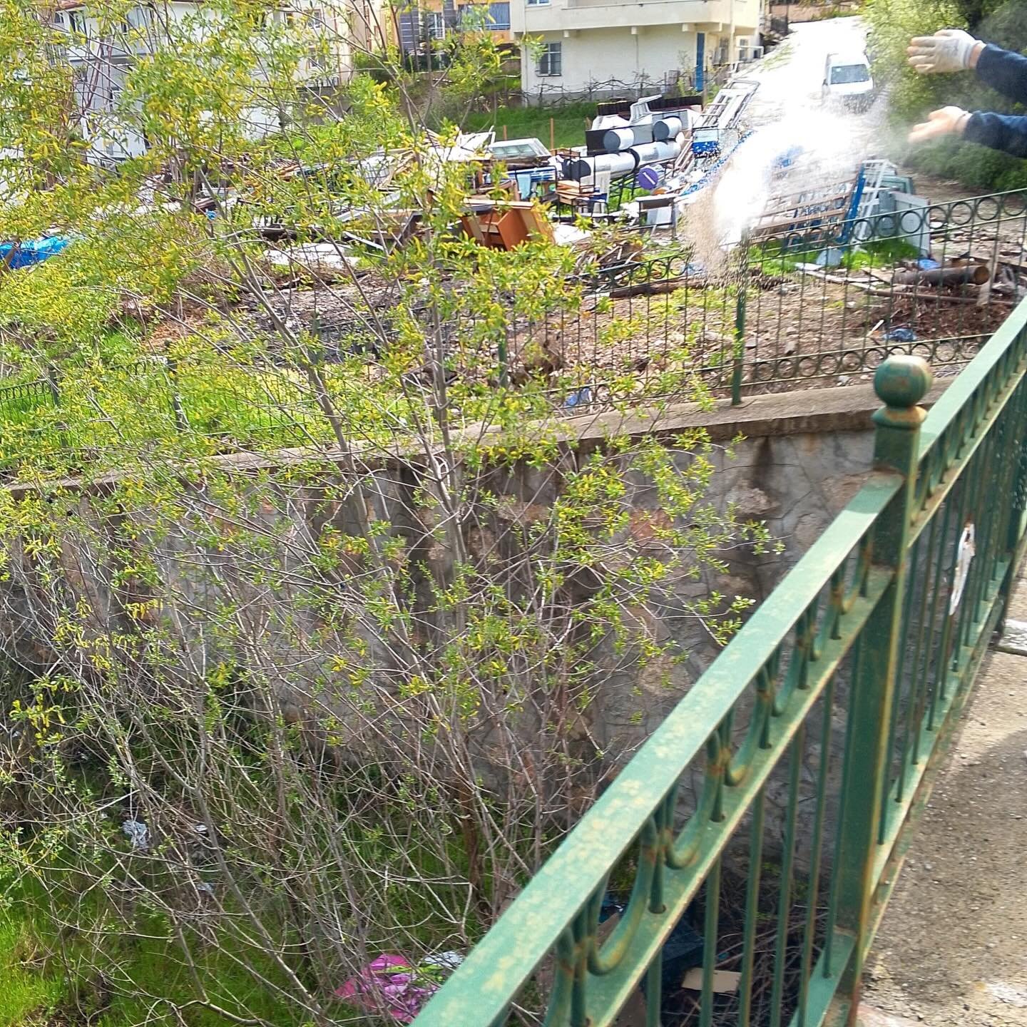 673127244 18112180741803065 4133159913056301517 N