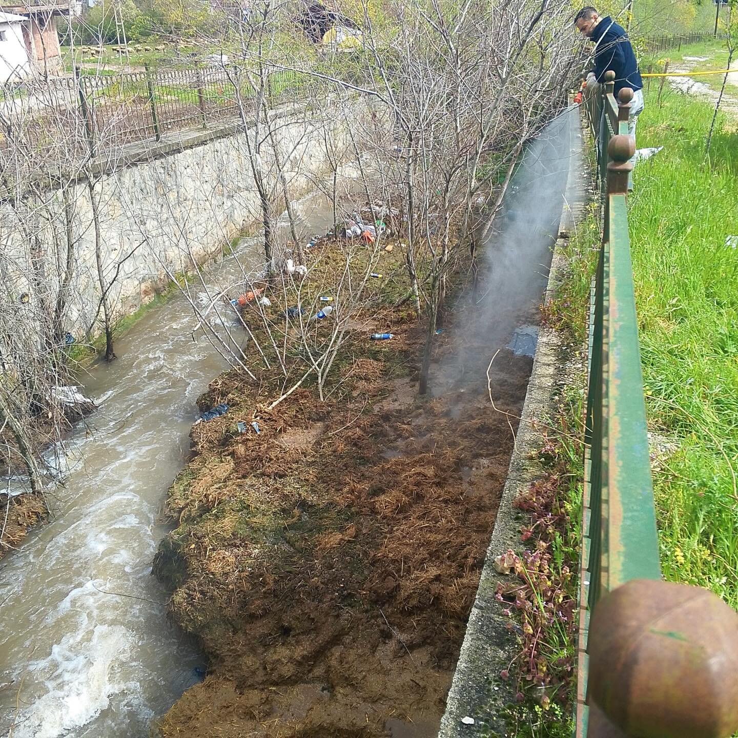 674463940 18112180795803065 6190228013584485442 N