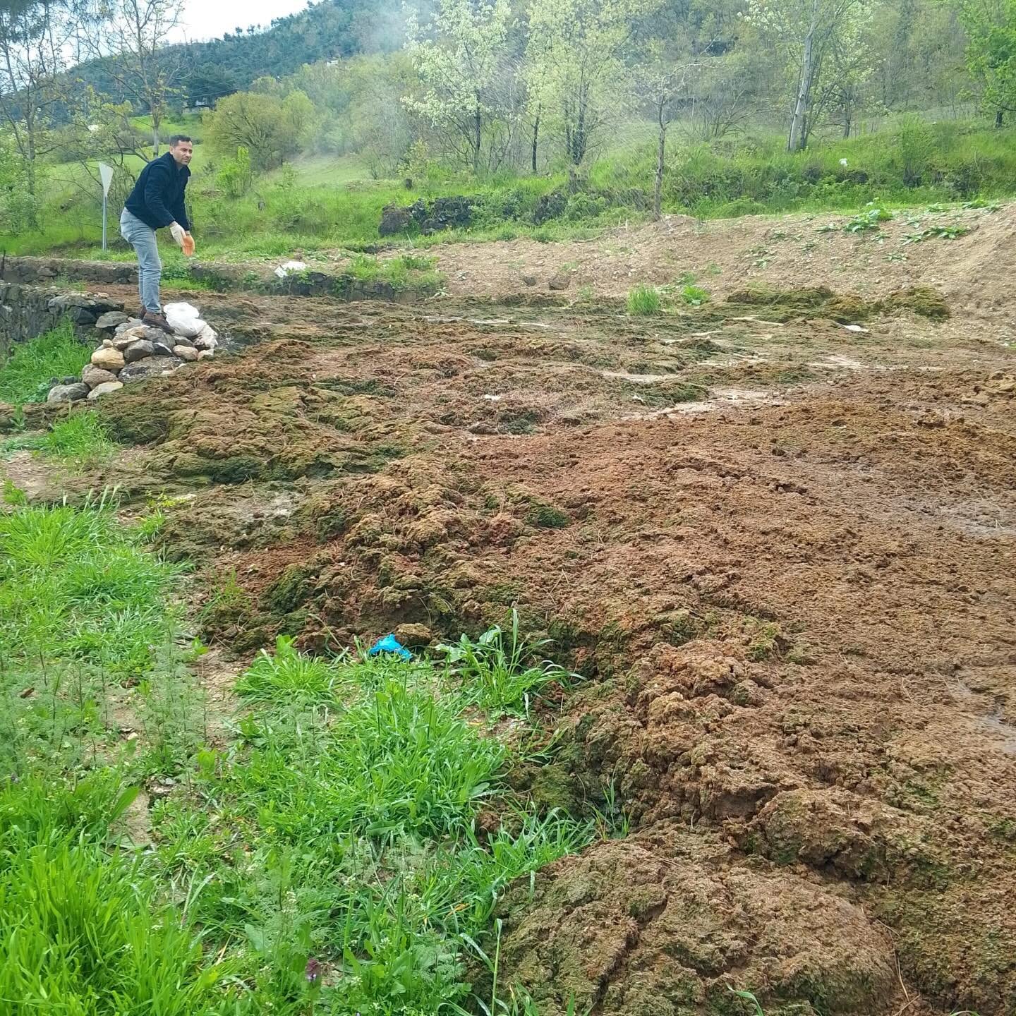 680736919 18112180786803065 6866463530614417481 N