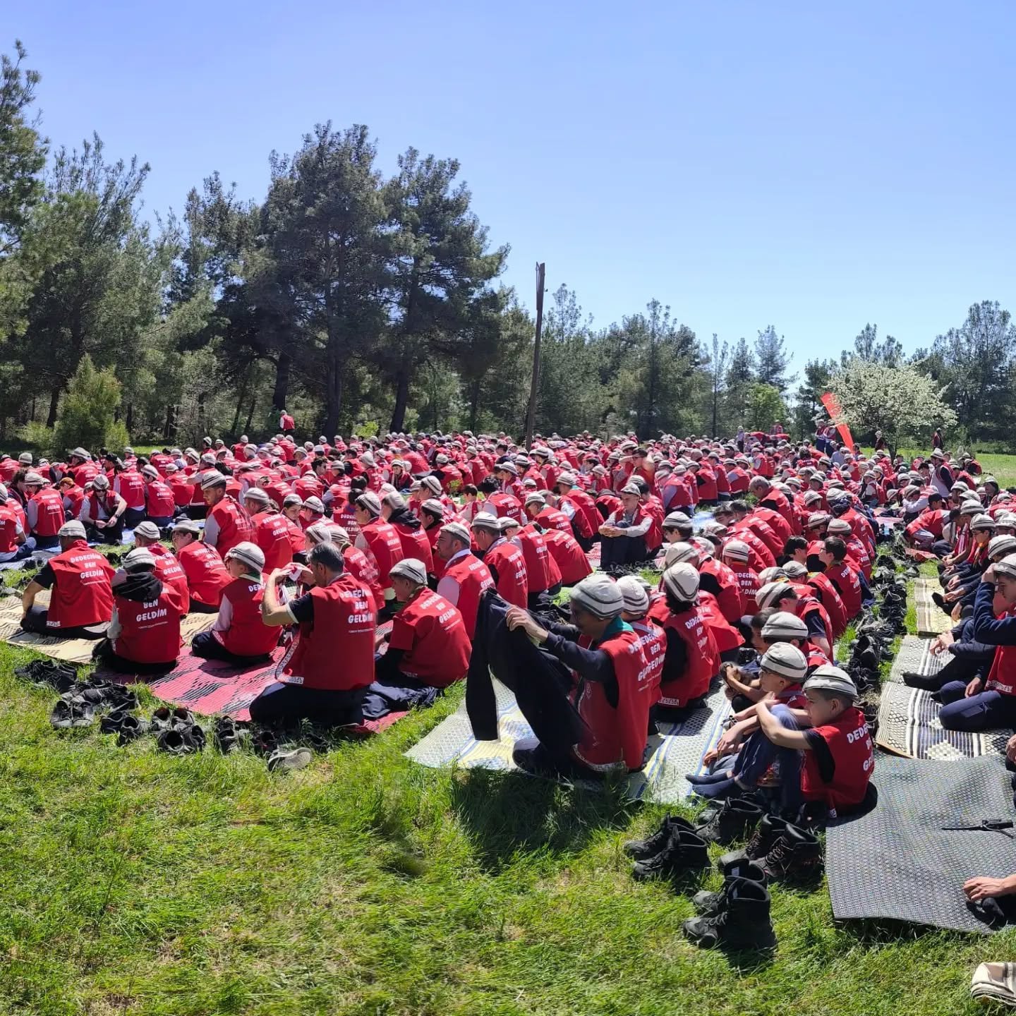 681146735 18077581808547374 6081914488531293945 N