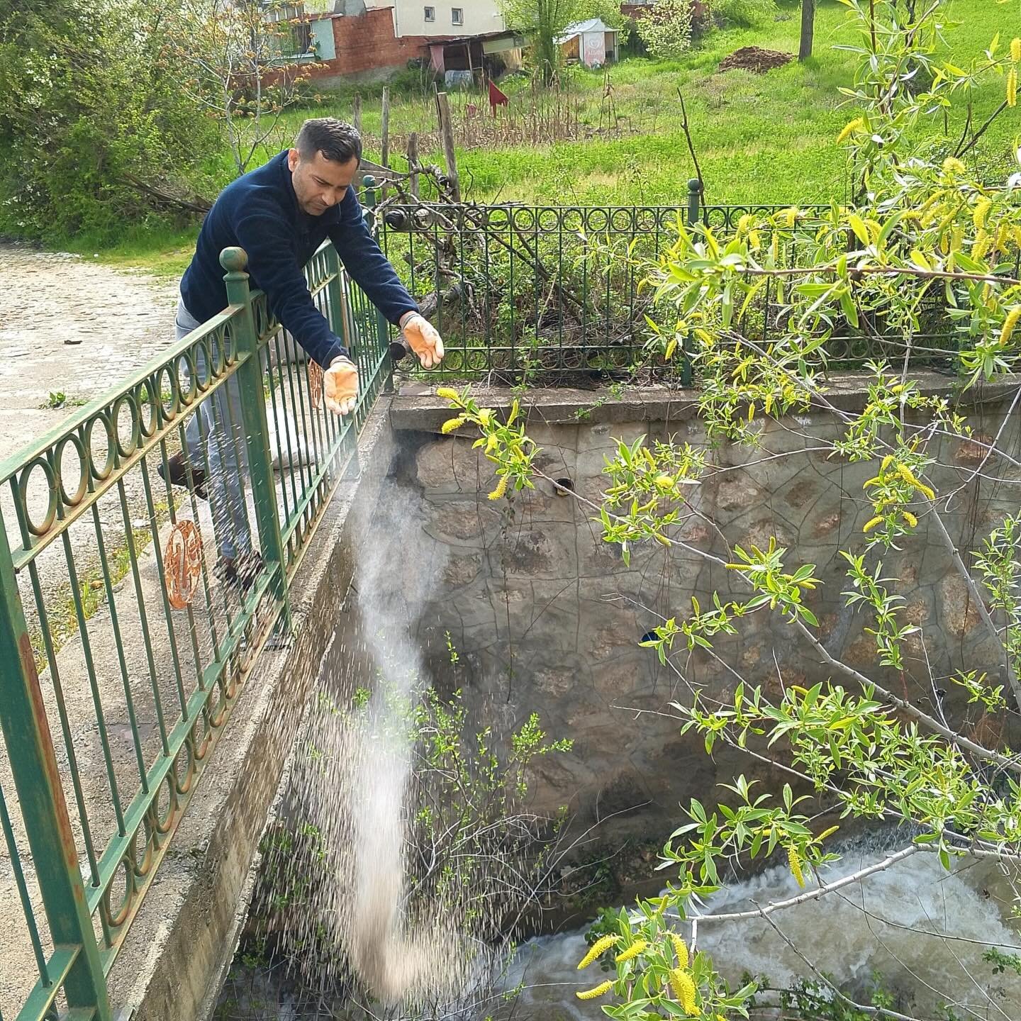 681994737 18112180732803065 6740552590280676546 N