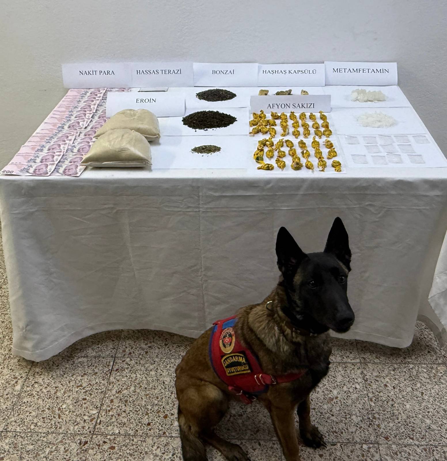 Whatsapp Image 2026 04 10 At 09.18.08 (1)