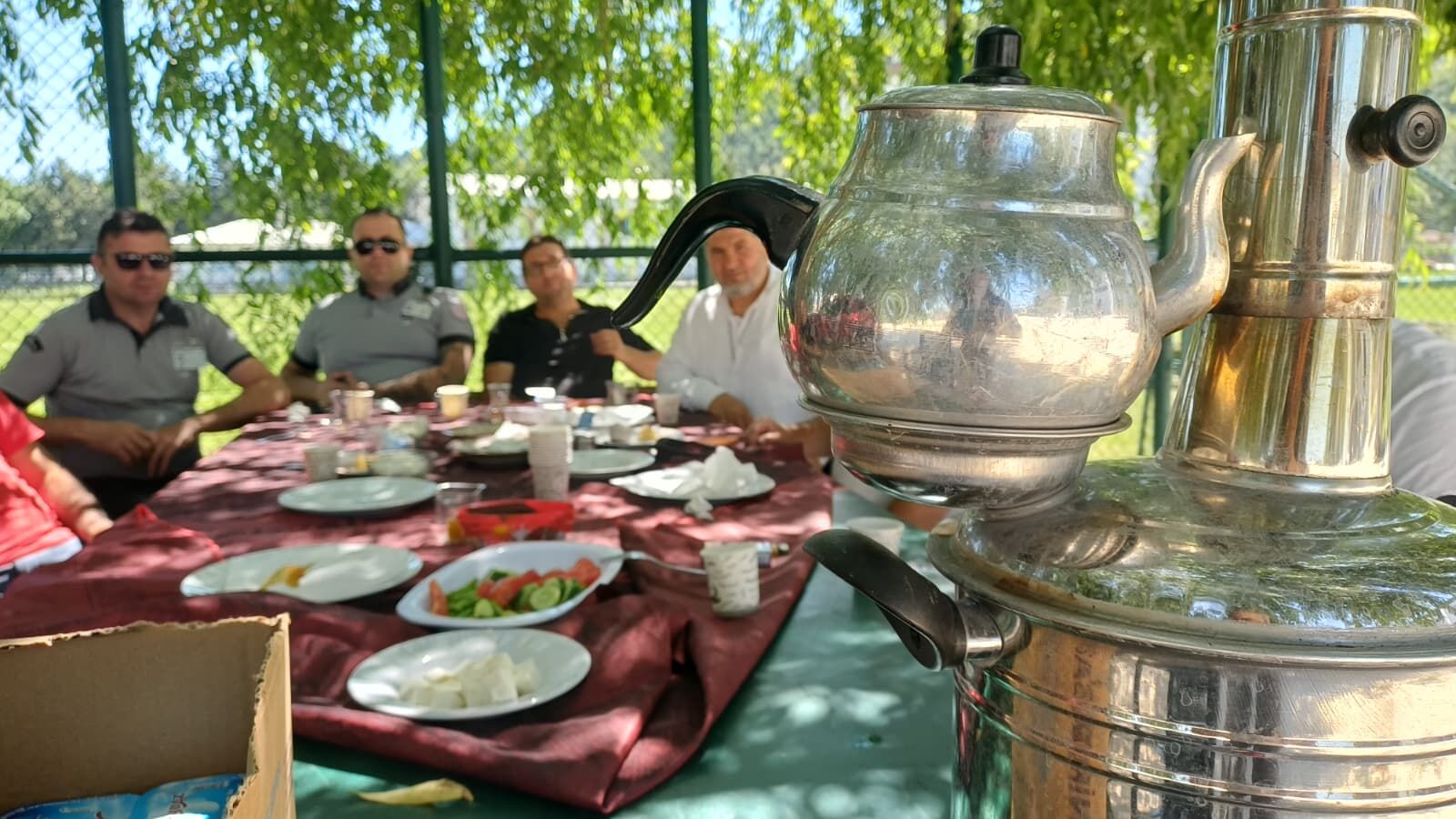 15 Yıllık Söğüt Ağacı (1)