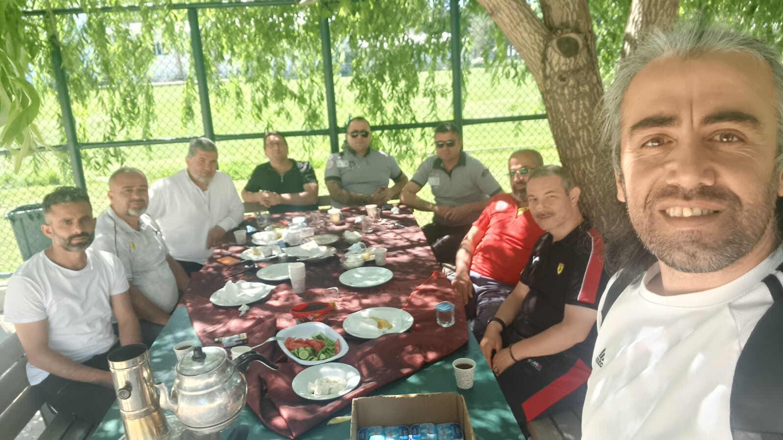 15 Yıllık Söğüt Ağacı (2)