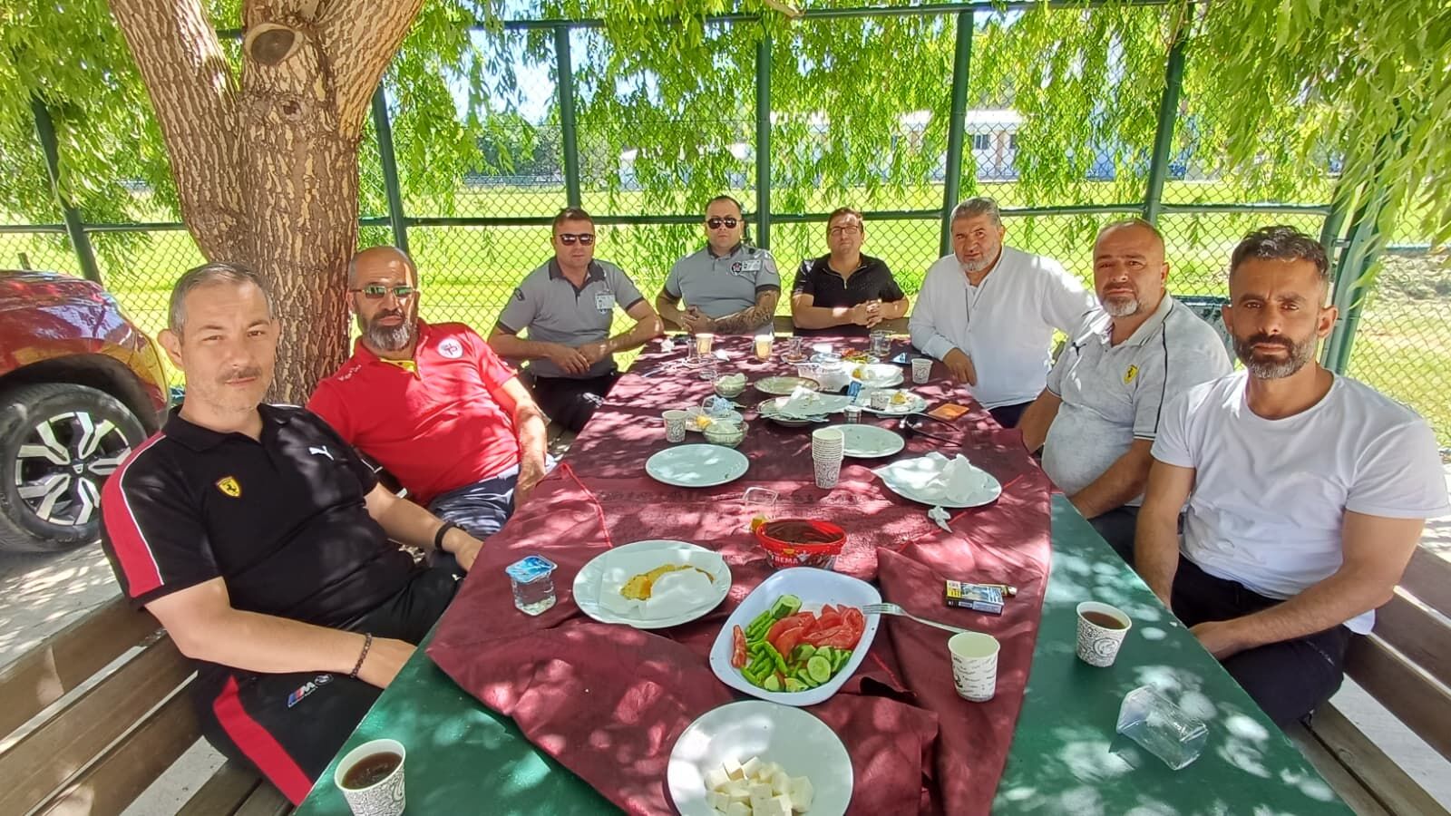 15 Yıllık Söğüt Ağacı (3)