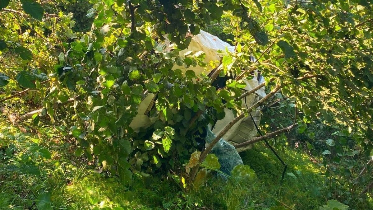 Giresun'da kamyonet fındık bahçesine devrildi: 1 ölü