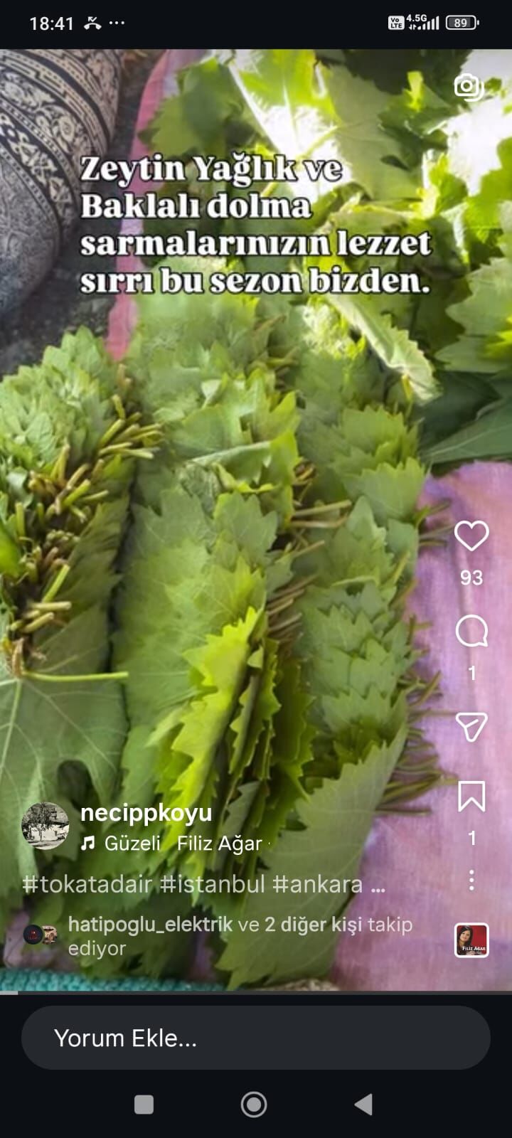 Necip Köyü Tokat (2)