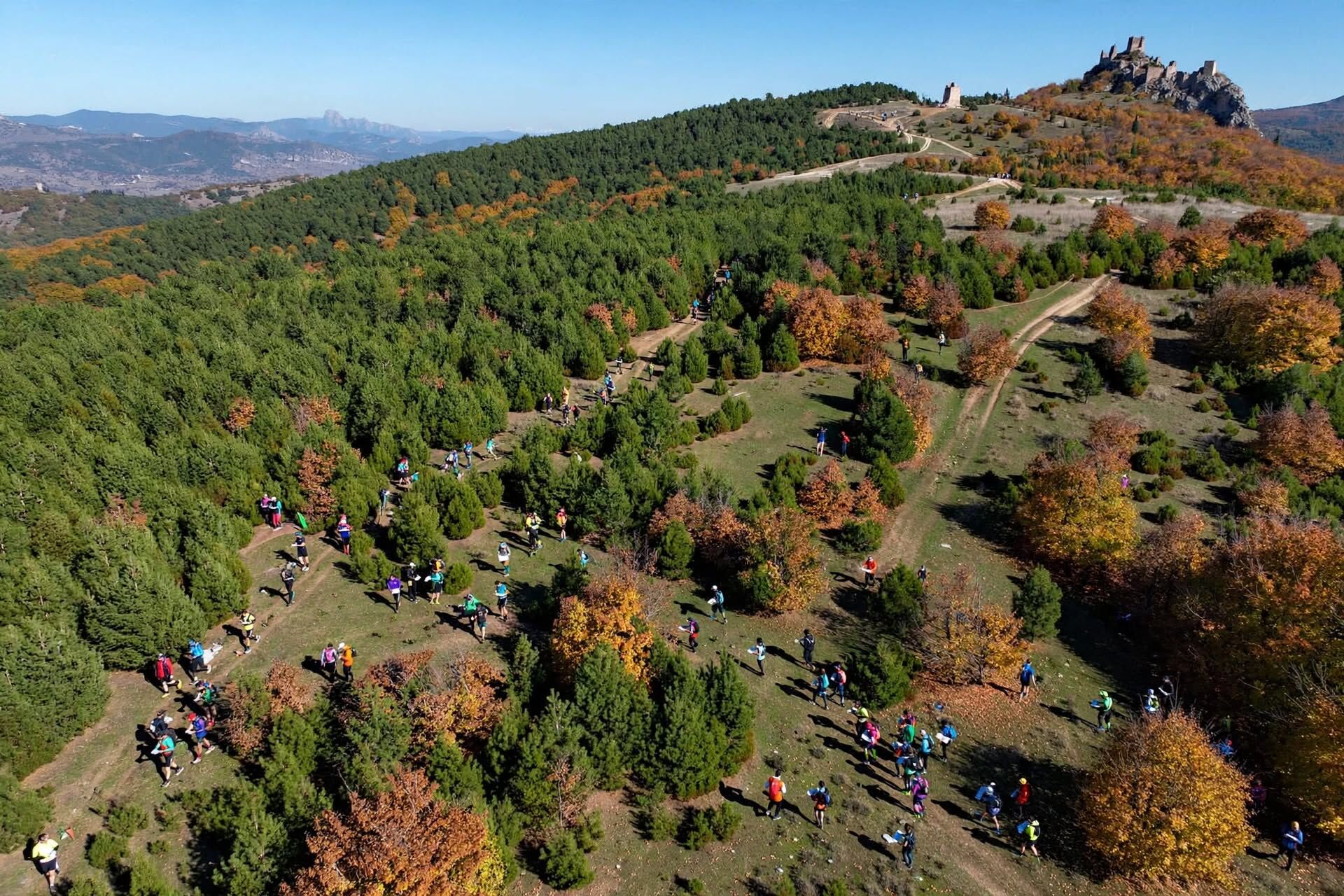 Orienteering Autumn Forest