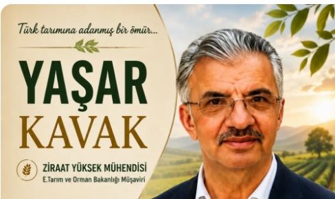 Yaşar Kavak Tarim Bereket